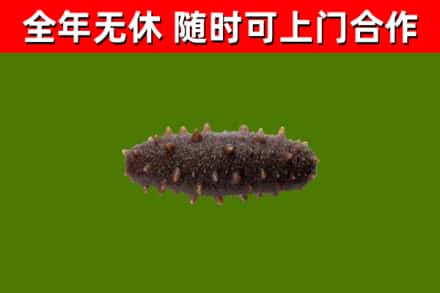 三沙烟酒回收干海参.jpg